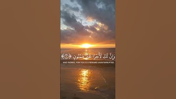 سورة القلم #explore #سورة_القلم #المصحف