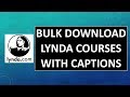 Bulk Download Lynda Courses With Captions