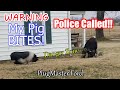 BITING PIG | POLICE Called While Metal Detecting | PlugMaster Ford | AWESOME FINDS