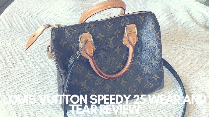Review of the Adorable Louis Vuitton Speedy 25 - Lollipuff