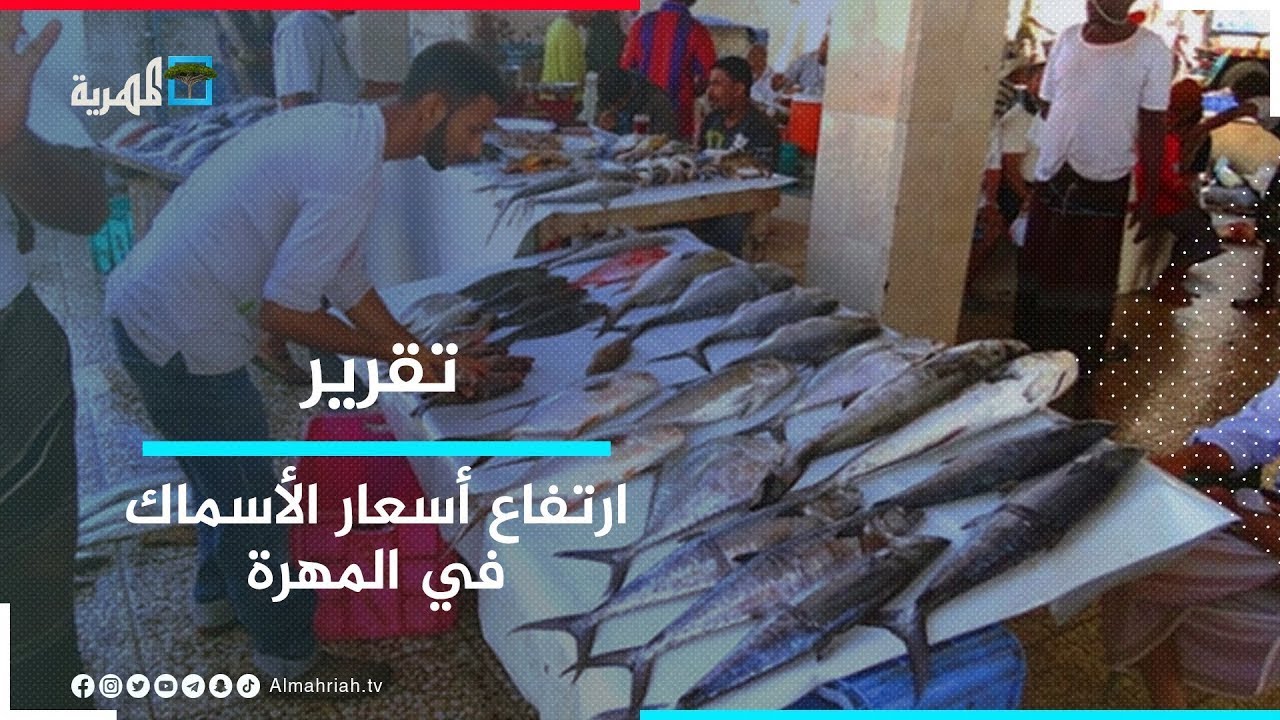 غلاء الأسماك في المهرة يحرم المواطنين من شرائها ويغيبها عن موائدهم