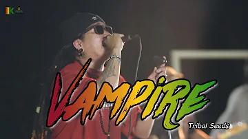 Vampire - Tribal Seeds | Kuerdas Reggae Cover