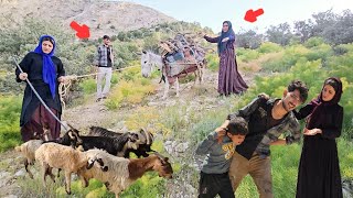 Nomadic life: Zulfa and Ramin's family trip to the mountains to collect firewood