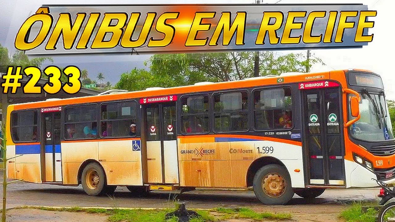 #233  Terminal Integrado Igarassu - Movimentação de ônibus na cidade de Igarassu  - RMR do Recife