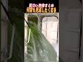 何度も見返したくなる映像TOP5