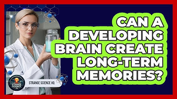 Can A Developing Brain Create Long-Term Memories?