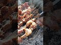 Tender lamb shish kebab on coals mined in the mountains of Dagestan