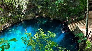 Diving Cenotes In Cancun Kin Ha Zapote