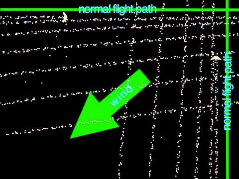 Sky Grid Animation