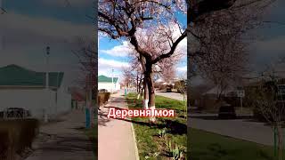 Юра Шатунов/Смотрю На Тебя Я/04.04.24Г.❤️🎵🏡🌞🌍