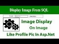 display image in image control from database in asp.net c#