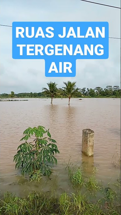 JALAN WAY ARENG MENUJU MULYO ASRI TERGENANG BANJIR#shorts