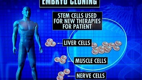 Cloning advancement: Scientists create embryonic stem cells from adult skin