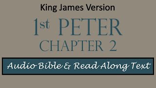 1st Peter 2 - KJV DRAMATIZED AUDIO BIBLE WITH TEXT