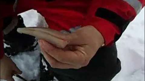 HOW TO CLEAN A PERCH IN 10 SECONDS!!!!!  INCREDIBLE VIDEO!!!!