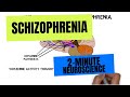 2minute neuroscience schizophrenia