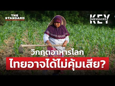 ทำไมวิกฤตอาหารโลก ไทยอาจได้ไม่คุ้มเสีย? | KEY MESSAGES | THE STANDARD