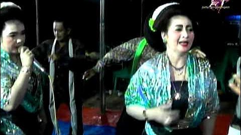 Mawar biru Size malam / Tayub pulosari Prambonwetan 2022