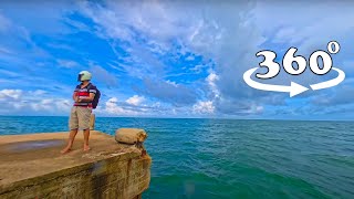 Insta 360 x5 | 360 Shipping Port