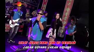 Hana Monina - Jaran Goyang The Rosta | Dangdut ( Music Video)