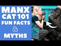 Manx Cats 101 : Fun Facts & Myths の動画、YouTube動画。