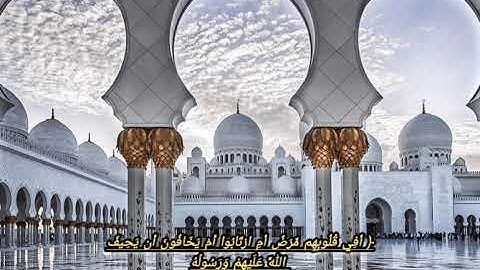 أجمل التلاوات من سورة النور | "القارئ محمد القعطبي "