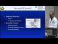 Neuroangiographic Anatomy by Yince Loh, M.D.