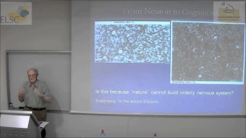 The Future of Brain Research: Moshe Abeles and Shaul Hochstein