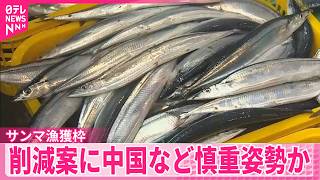 【サンマ】漁獲枠めぐり国際会議  削減案に中国など慎重姿勢か