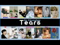 How would seventeen sings tears by so chan whee