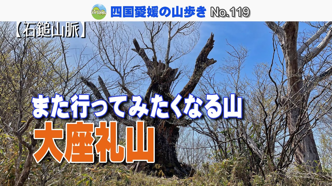 【石鎚山脈】大座礼山｜また行きたくなる絶景ルート2025.5.3【四国・愛媛】