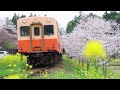 【カラオケ】Pastoral/Aimer【オフボーカル メロディ有り karaoke】