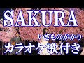 SAKURA いきものがかり カラオケ  練習用  原曲キー 歌付き ボーカル入り 歌詞付き