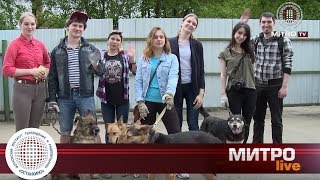 МИТРО LIVE. Поездка студентов МИТРО в приют для бездомных животных «Красная сосна»