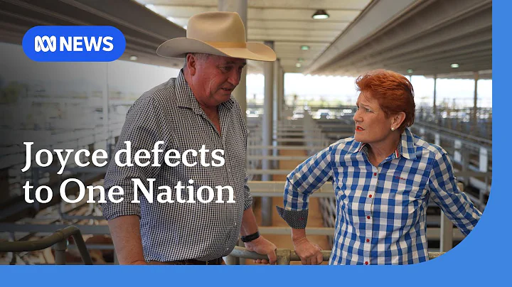 Barnaby Joyce defects to One Nation from Nationals | ABC NEWS