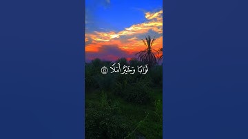 المال والبنون زينة الحياة الدنيا سورة الكهف سعد الغامدي حلات واتس اب #اكسبلور #لايك #دويتو