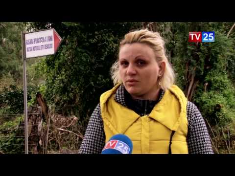 ავარიული გზა და მოსახლეობის პროტესტი გონიოში