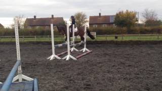 Julia flatwork 3