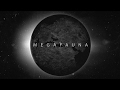 Miniature de la vidéo de la chanson Megafauna