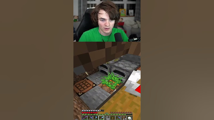 Tubbo Finds Secret Technoblade Base