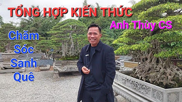 KIẾN THỨC TỔNG HỢP Anh THÙY HP CS về chăm sóc Sanh Quê * CẨM NANG HỮU ÍCH * .