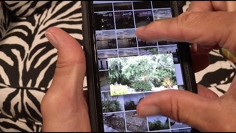 How to get back to your thumbnail page in Google photos from an individual photo on your iPhone