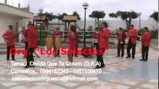 Video thumbnail of "Olvida Que Te Quiero DRA)   Los Selectos 2013"