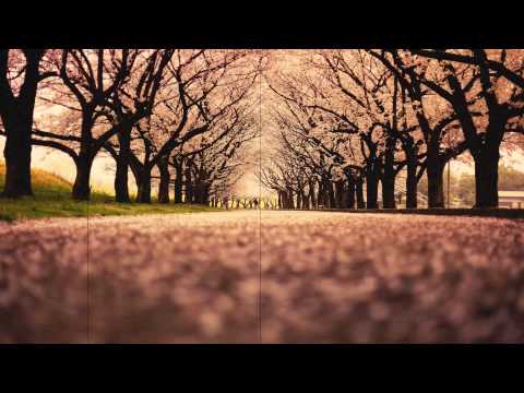 1/f no yuragi『サクラの雨』[Music Video]