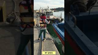 경주 감포 전촌항 내항 방파제 루어낚시(청개비 생미끼 하이브리드/easy fishing)