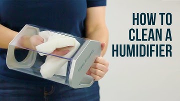 How to Clean A Humidifier | Sylvane