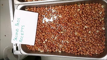 Sorting Flow Runner Peanuts for Seed on a AMD RC3 Colour Sorting Machine