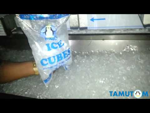 Cube ice maker 2 ton Europan