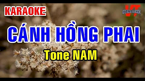 Karaoke CÁNH HỒNG PHAI Tone NAM Trấn Thành