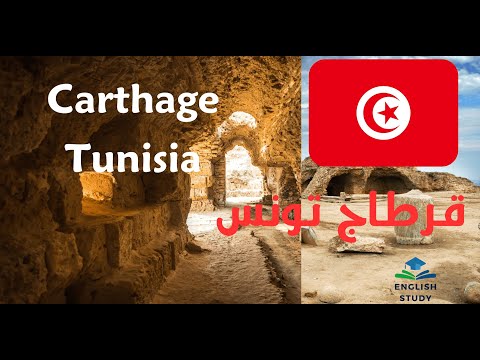   قرطاج تونس  